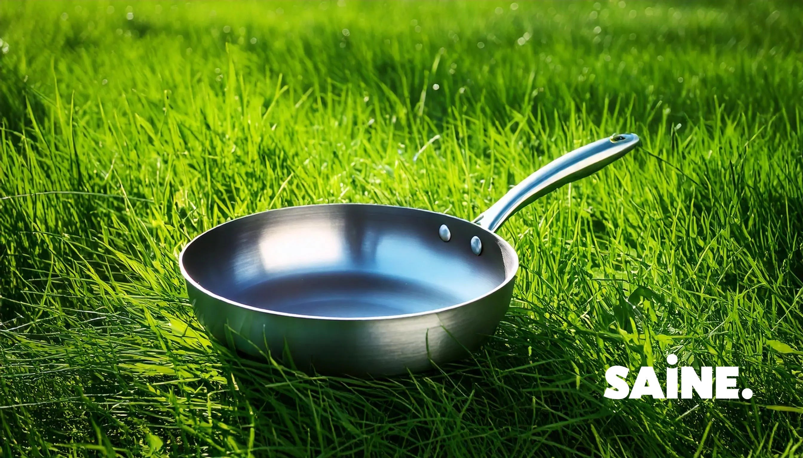 Poêles-en-inox-Pourquoi-sont-elles-l-option-la-plus-écologique-et-durable SAINE.