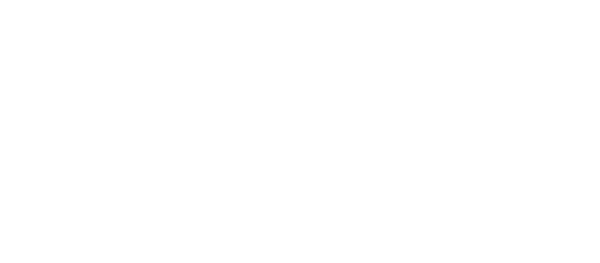 Logo de la marque SAINE, poeles inox